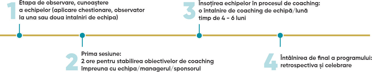 Amazing teams coaching